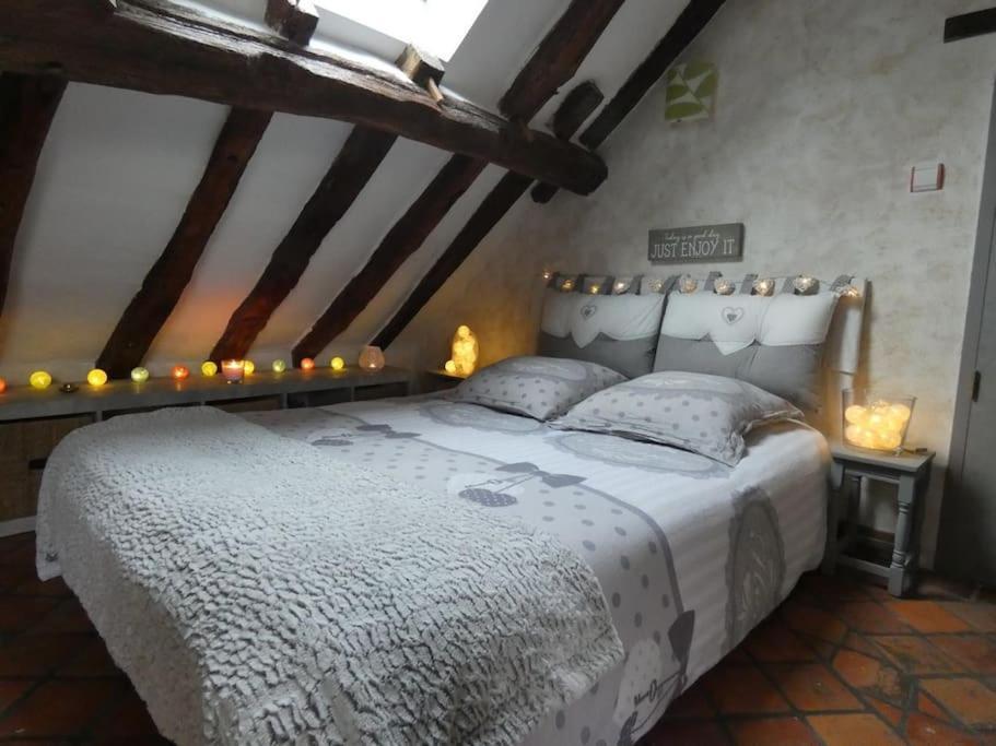 Maison De Charme Pres De Beauval Saint-Cyran-du-Jambot Eksteriør billede